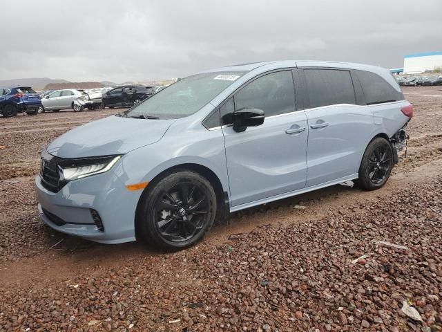 2024 Honda Odyssey Sport