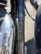2015 Harley-Davidson FLD Switchback
