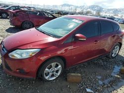 Ford salvage cars for sale: 2013 Ford Focus SE