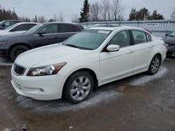 Honda Accord salvage cars for sale: 2010 Honda Accord EXL