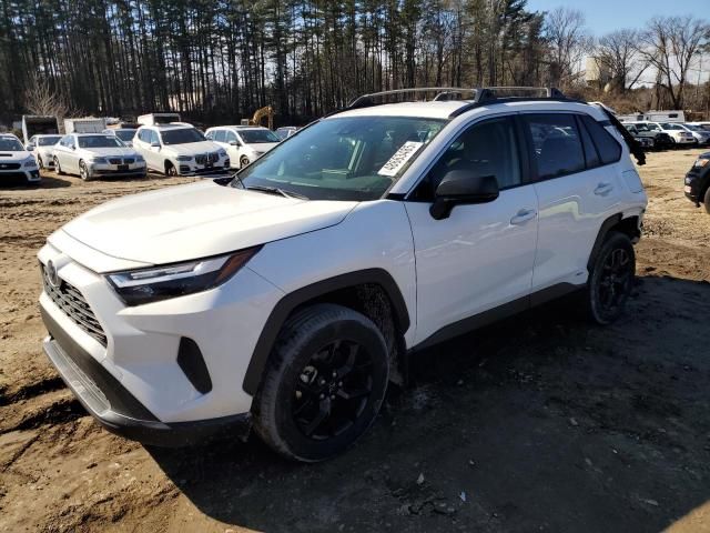 2023 Toyota Rav4 LE