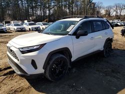 Toyota rav4 salvage cars for sale: 2023 Toyota Rav4 LE