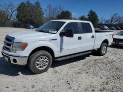 2014 Ford F150 Supercrew en venta en Madisonville, TN