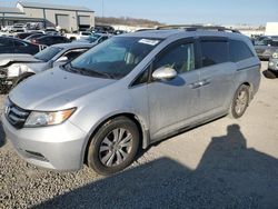 Honda Odyssey exl salvage cars for sale: 2014 Honda Odyssey EXL