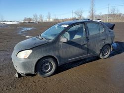 Toyota Echo salvage cars for sale: 2003 Toyota Echo