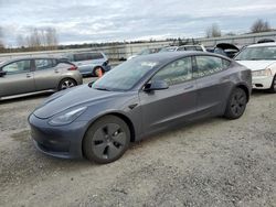 Tesla Model 3 Vehiculos salvage en venta: 2023 Tesla Model 3