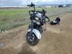2023 Harley-Davidson Fltrxs