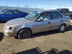 2000 Toyota Corolla VE for sale in Nisku, AB