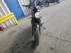 2024 Triumph Scrambler 900