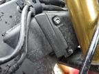 2024 Honda CBR600 RR
