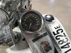 2002 Harley-Davidson Flstfi