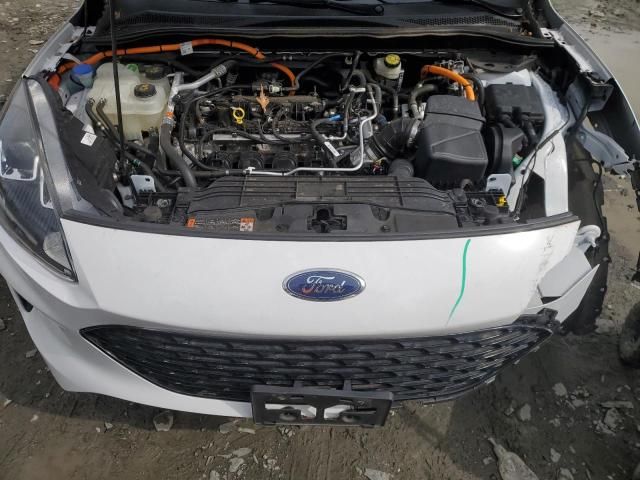 2020 Ford Escape SE Sport