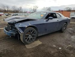 Dodge Challenger salvage cars for sale: 2017 Dodge Challenger SXT