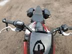 2025 Indian Motorcycle Co. 101 Scout