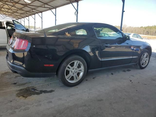 2010 Ford Mustang