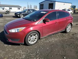 Ford Focus salvage cars for sale: 2015 Ford Focus SE