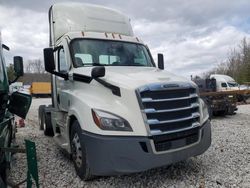 Freightliner Vehiculos salvage en venta: 2020 Freightliner Cascadia 126