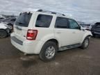 2010 Ford Escape Limited