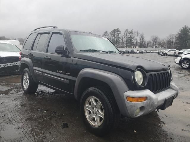 2002 Jeep Liberty Sport