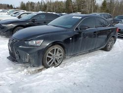 Lexus salvage cars for sale: 2017 Lexus IS 300