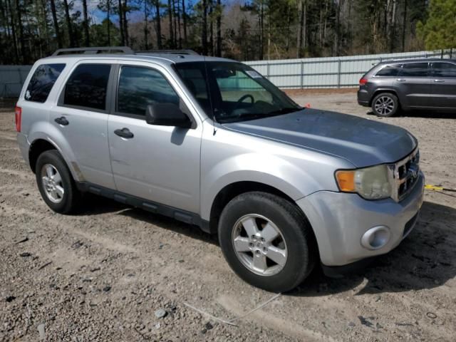 2010 Ford Escape XLT