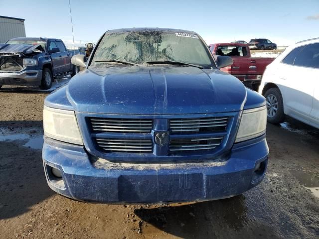 2011 Dodge Dakota SLT