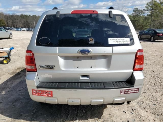 2010 Ford Escape XLT