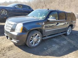 Vehiculos salvage en venta de Copart Marlboro, NY: 2012 Cadillac Escalade ESV Platinum