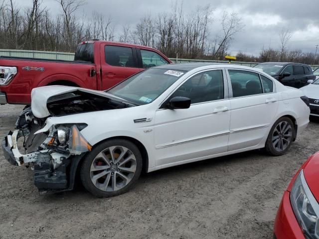 2009 Honda Accord EXL