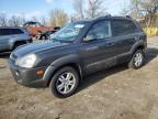 2007 Hyundai Tucson se