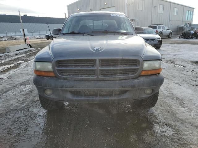 2003 Dodge Dakota Quad Sport