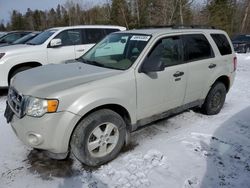 Ford salvage cars for sale: 2009 Ford Escape XLT