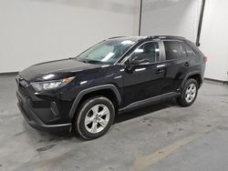 Toyota rav4 salvage cars for sale: 2021 Toyota Rav4 LE