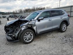 2024 Honda CR-V EXL for sale in Lawrenceburg, KY