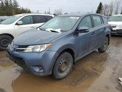 Toyota rav4 salvage cars for sale: 2013 Toyota Rav4 LE