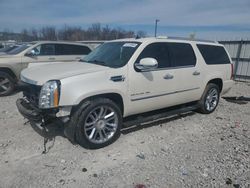 Cadillac Escalade salvage cars for sale: 2012 Cadillac Escalade ESV Platinum