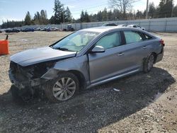 Hyundai Sonata salvage cars for sale: 2016 Hyundai Sonata Sport