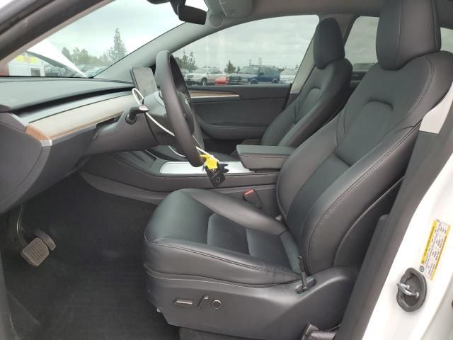 2025 Tesla Model Y