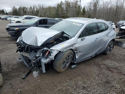 2025 Lexus UX 300H Base for sale in Cookstown, ON