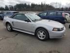 2001 Ford Mustang