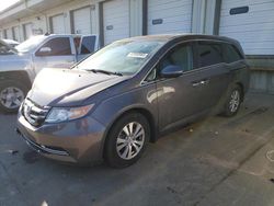 2015 Honda Odyssey EXL for sale in Louisville, KY