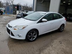2013 Ford Focus SE for sale in Franklin, WI