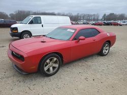 Dodge salvage cars for sale: 2013 Dodge Challenger SXT