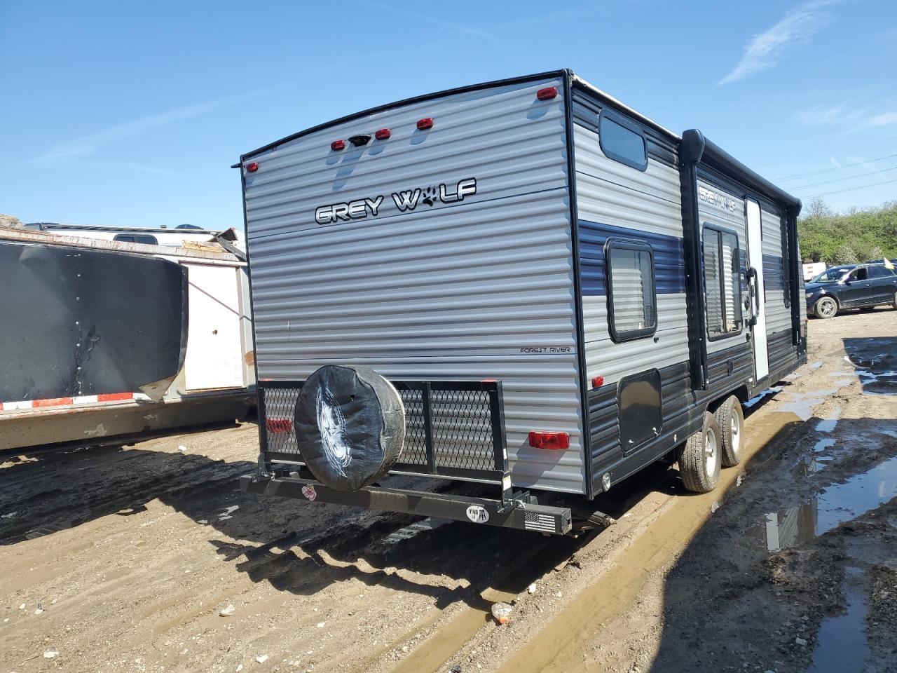 2021 Grey Wolf Wolf
