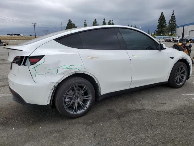 2025 Tesla Model Y