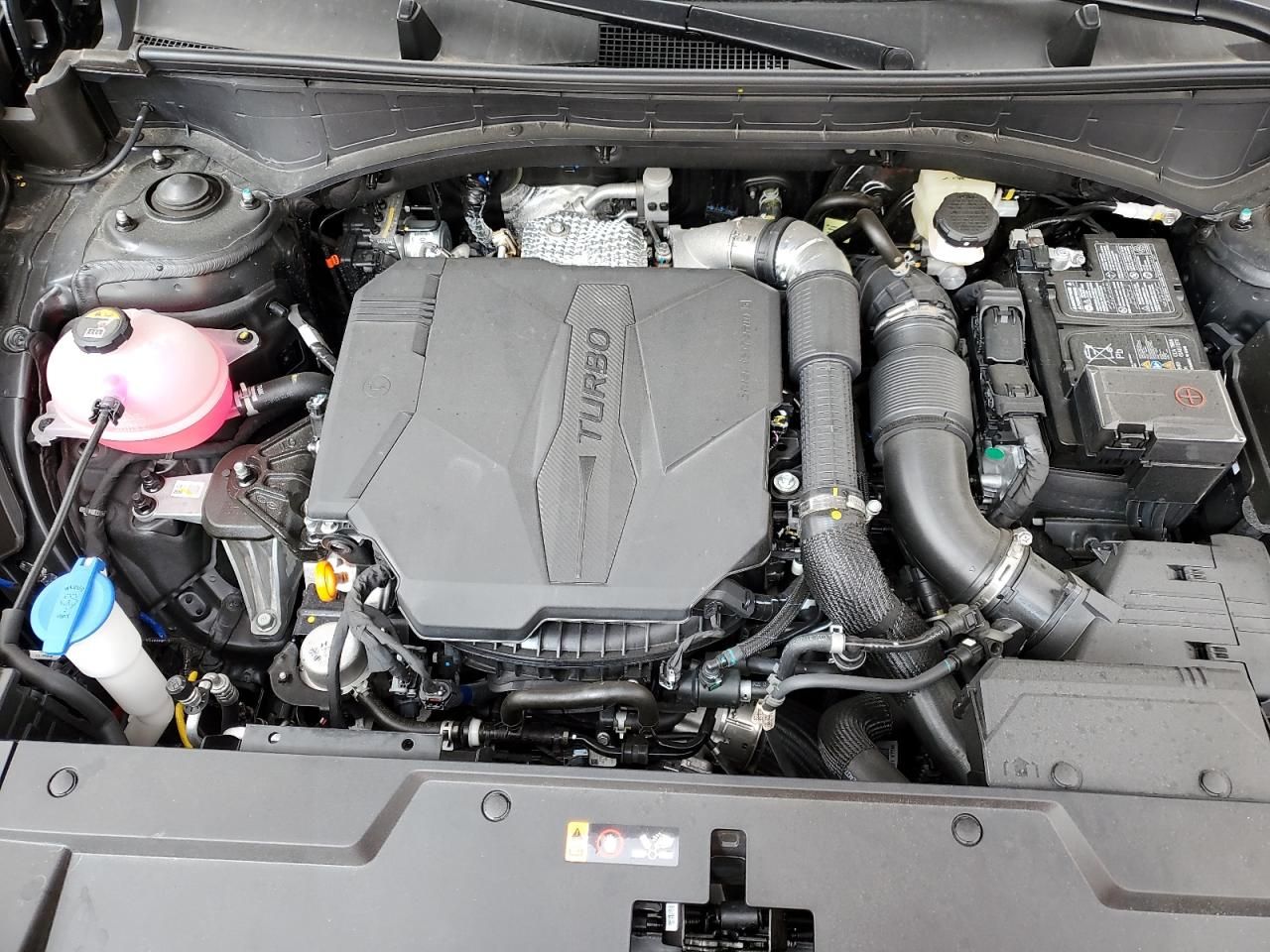 2025 Hyundai Santa fe Calligraphy