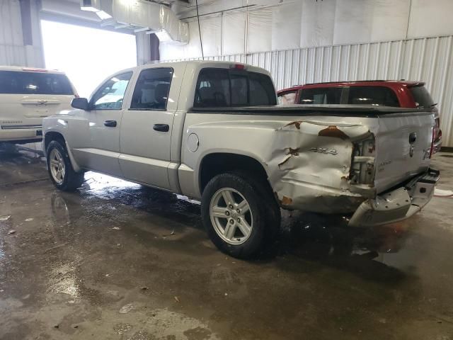 2011 Dodge Dakota SLT