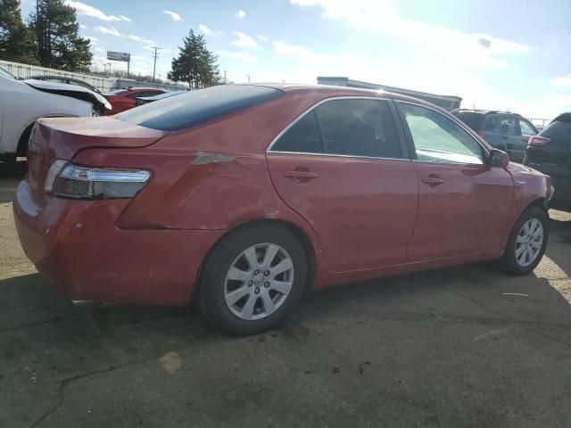 2008 Toyota Camry Hybrid