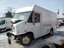 Salvage trucks for sale at Kincheloe, MI auction: 2019 Ford F59