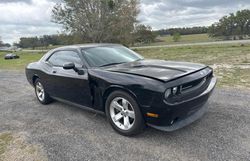 Dodge salvage cars for sale: 2009 Dodge Challenger SE